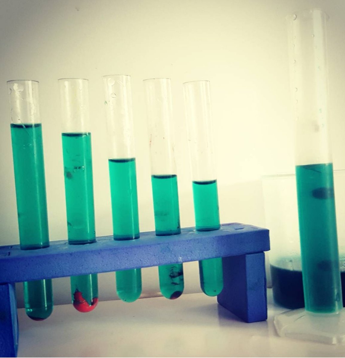 StoppaALS tweet media