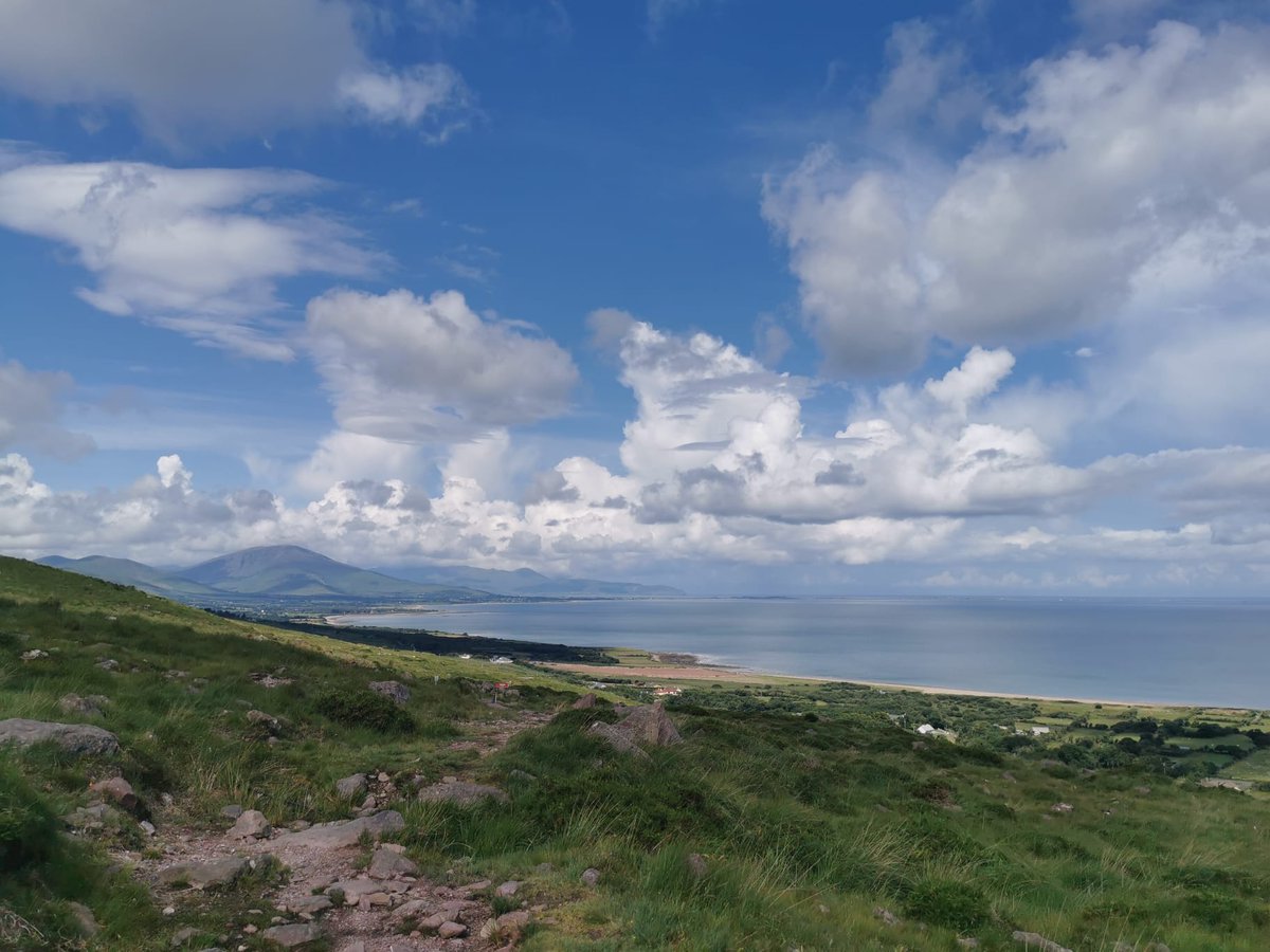 Morrison Tours - The Mountain Guy tweet media