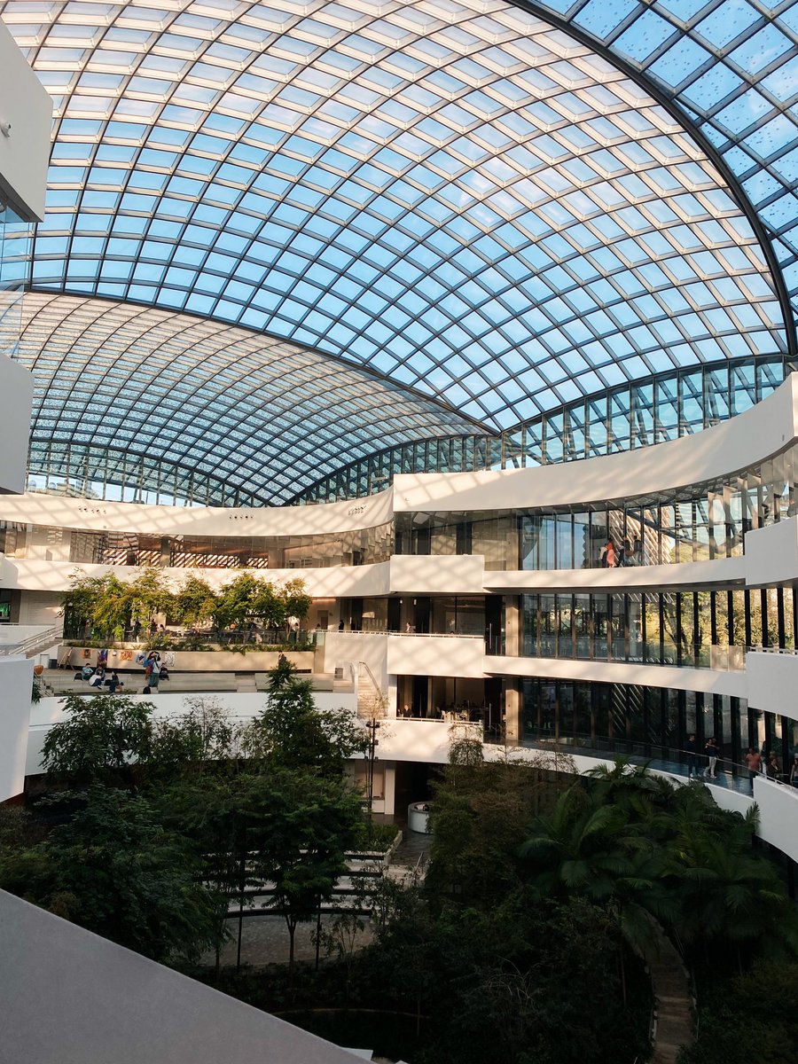 klauspisador's tweet image. que sonho é ser med Albert Einstein