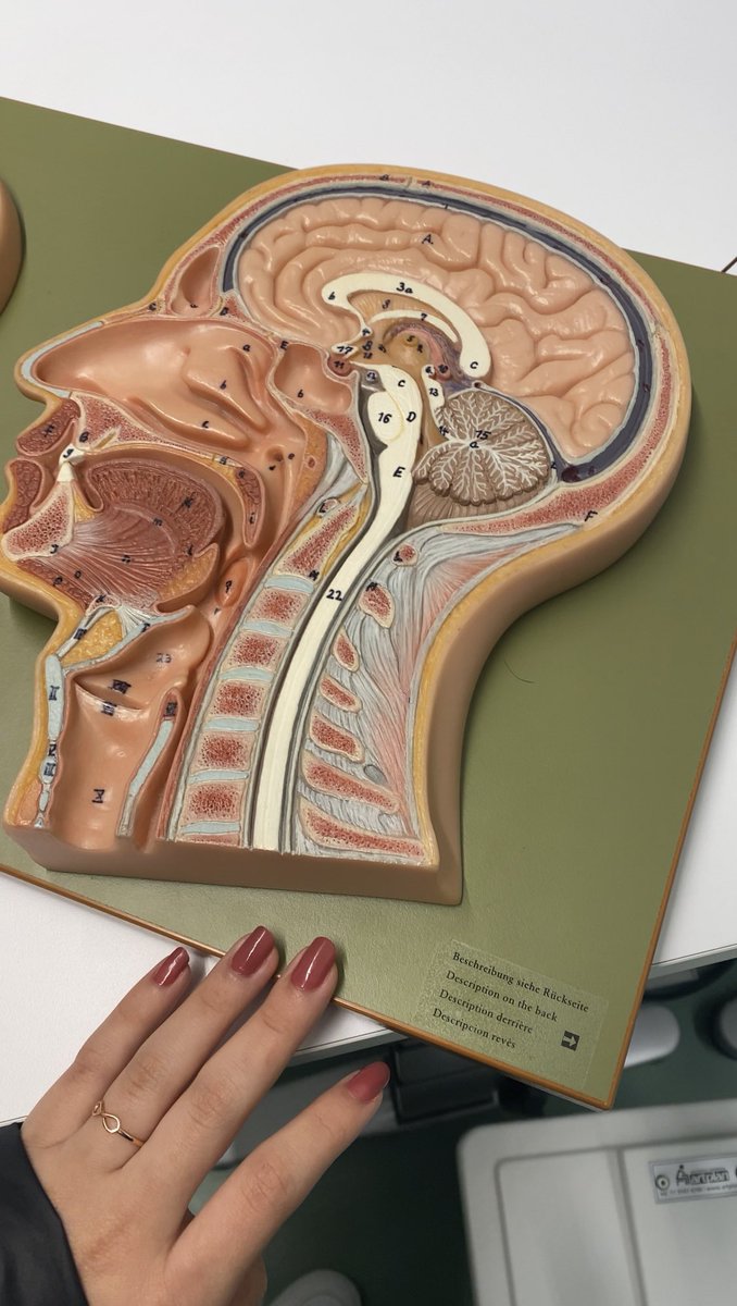 klauspisador's tweet image. que sonho é ser med Albert Einstein