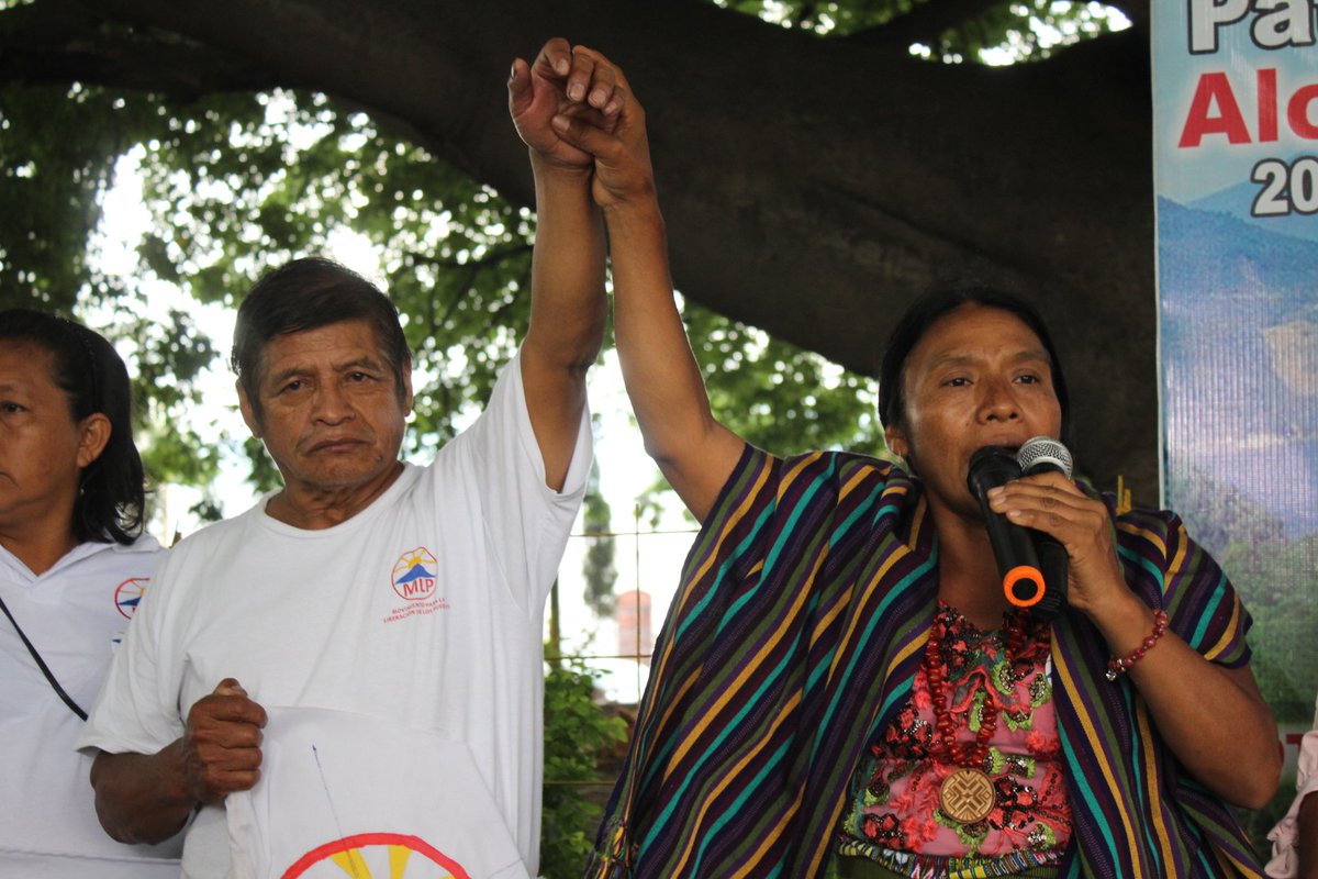 MLP Guatemala (oficial) tweet media