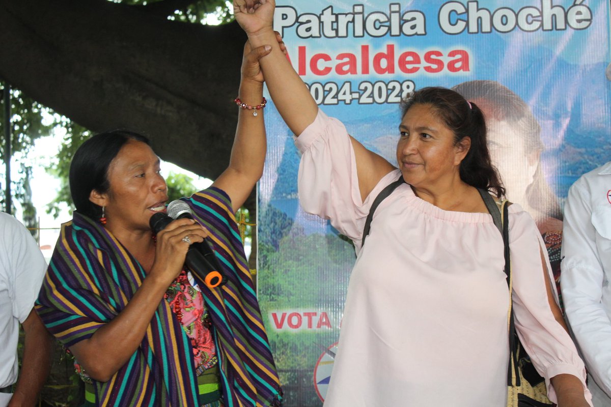 MLP Guatemala (oficial) tweet media