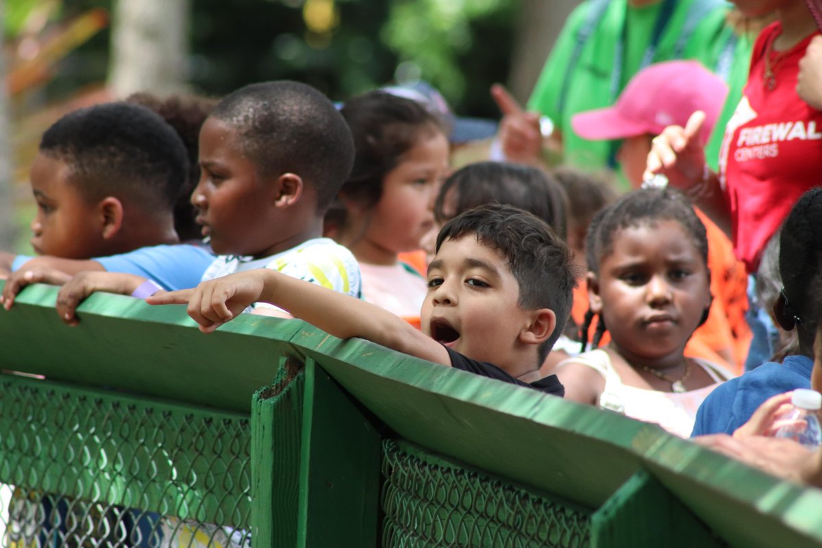 FirewallCenters's tweet image. Exploring the wild side of Miami with these intrepid elementary students at Zoo Miami! #AdventureAwakens 🐯🦁🐨 Thank you, @CSCBroward for sponsoring this field trip and our program!

Watch our recap video on YouTube and subscribe to see more! youtu.be/suDETyNwA-I