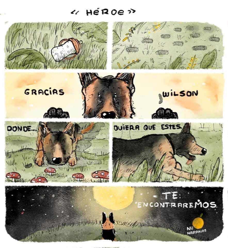 @jeromet1975 ¡La esperanza se mantiene!🙏🏻🐕♥️
#Wilson te esperamos #WilsonTeAmamos 
#OperacionEsperanza #VamosPorWilson #WilsonHeroeNacional