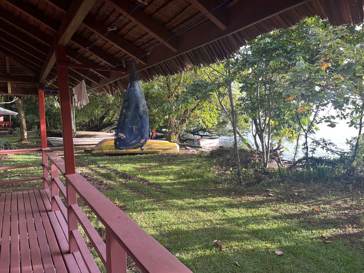 MartaPanero's tweet photo. Morning from beautiful #Mahonia #PapuaNewGuinea 🇵🇬 I’m beyond excited to be back here doing some amazing research #MarineConservation 🪸 https://t.co/jCZoi3jdAX