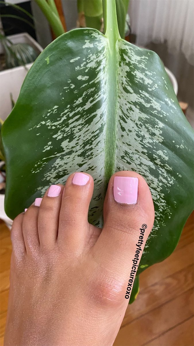 Prettytoesxoxox's tweet photo. Smoothest feet around 😍

#feetpicsforsales  #feetfethish #onlyfans  #feetcontent #feet_lover  #feetseller https://t.co/SbYPG2HzRW