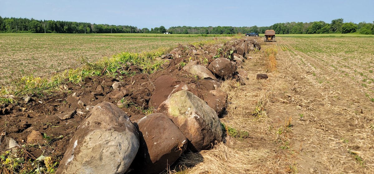 Warren Schneckenburger 🇨🇦 tweet media