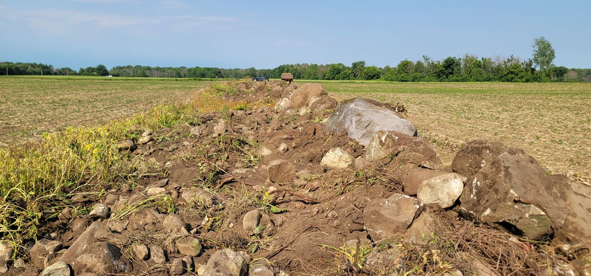 Warren Schneckenburger 🇨🇦 tweet media