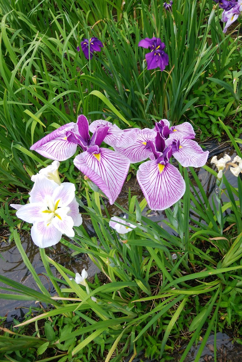 久々の投稿、体調も良くなりテニス再開、なかなか戻らなかったが最近
ようやく戻った感がある。弱気、不安等捨て　振り切る、これがわかった。何年やってる　まったく！

女性高額収入 
 taa1341.web.fc2.com/ad3.html