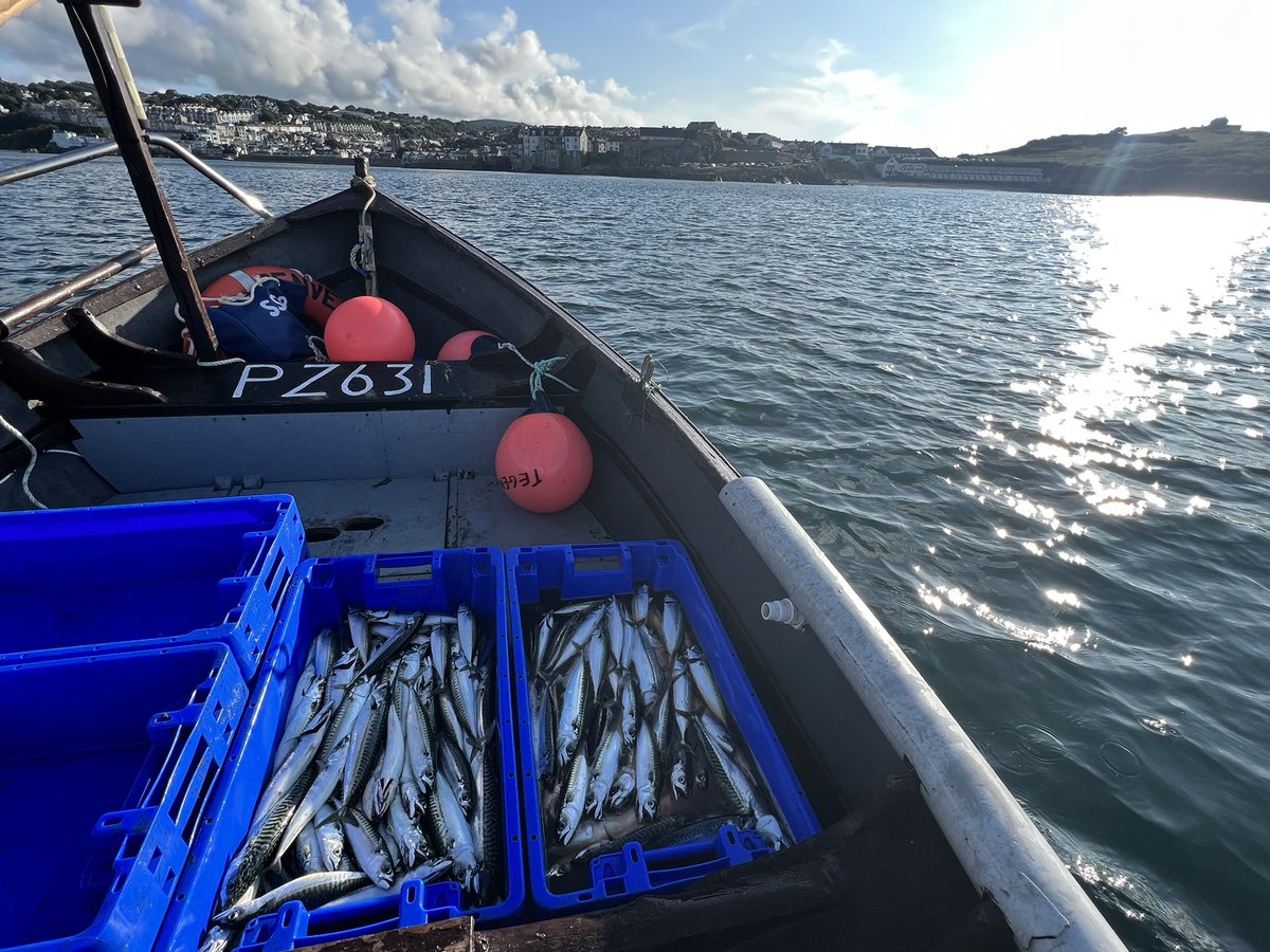 NathandeRoz's tweet photo. Had a few boats over the years, but never one with more character and luck than this one #Penver #Treeve16 #Coveboat #onloanfromPenberth #Tiger https://t.co/wKVlbtRts4