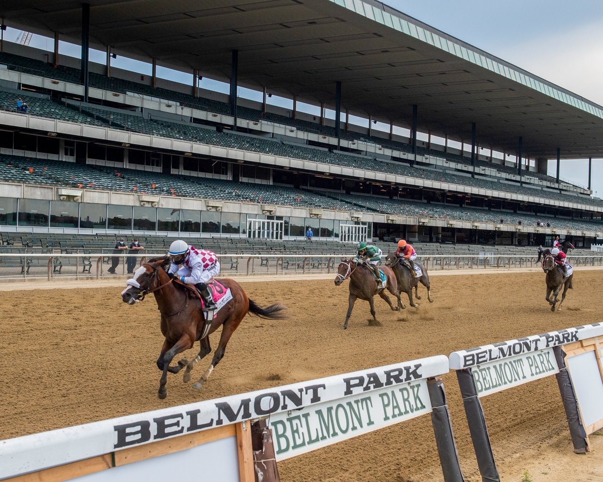 Three years ago today, in front of an empty grandstand, Tiz the Law became the first NY-Bred to win the @BelmontStakes in 138 years. 

📸 @SKIPSCAM