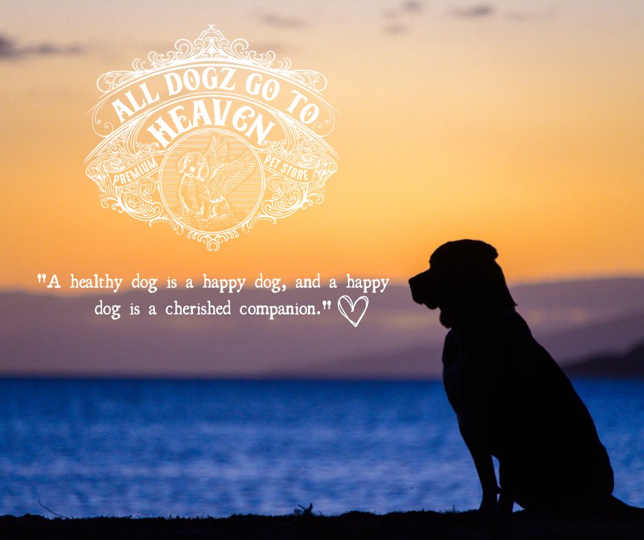 AllDogzGTH's tweet image. A Healthy Dog is a happy dog!! 

 #alldogzgotoheaven #dogjointhealth #doglover #dogs #dogjoint  #pets #pethealth #doghealth #dogparents #dogwellness