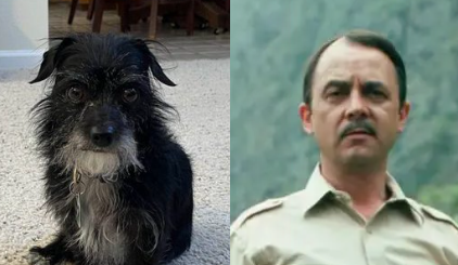 rdaisygal's tweet photo. @FinchinABQ The resemblance is uncanny! https://t.co/Tzb75Hbbo9