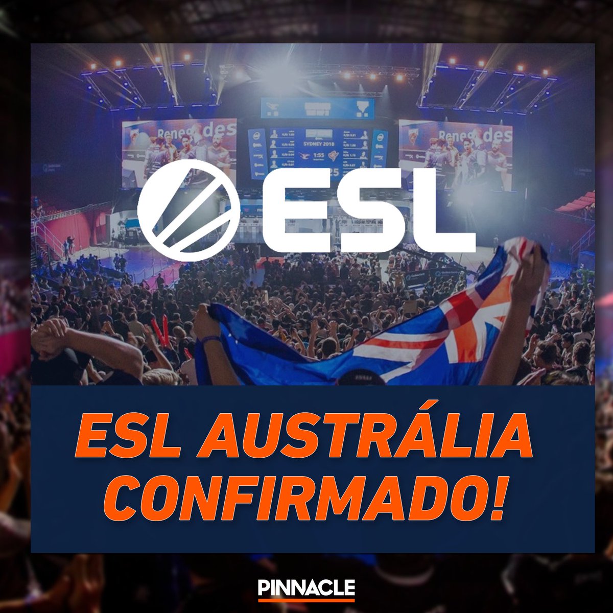 Pinnacle_CS:GO_Brasil (@PinnacleCSGObr) / Posts / X