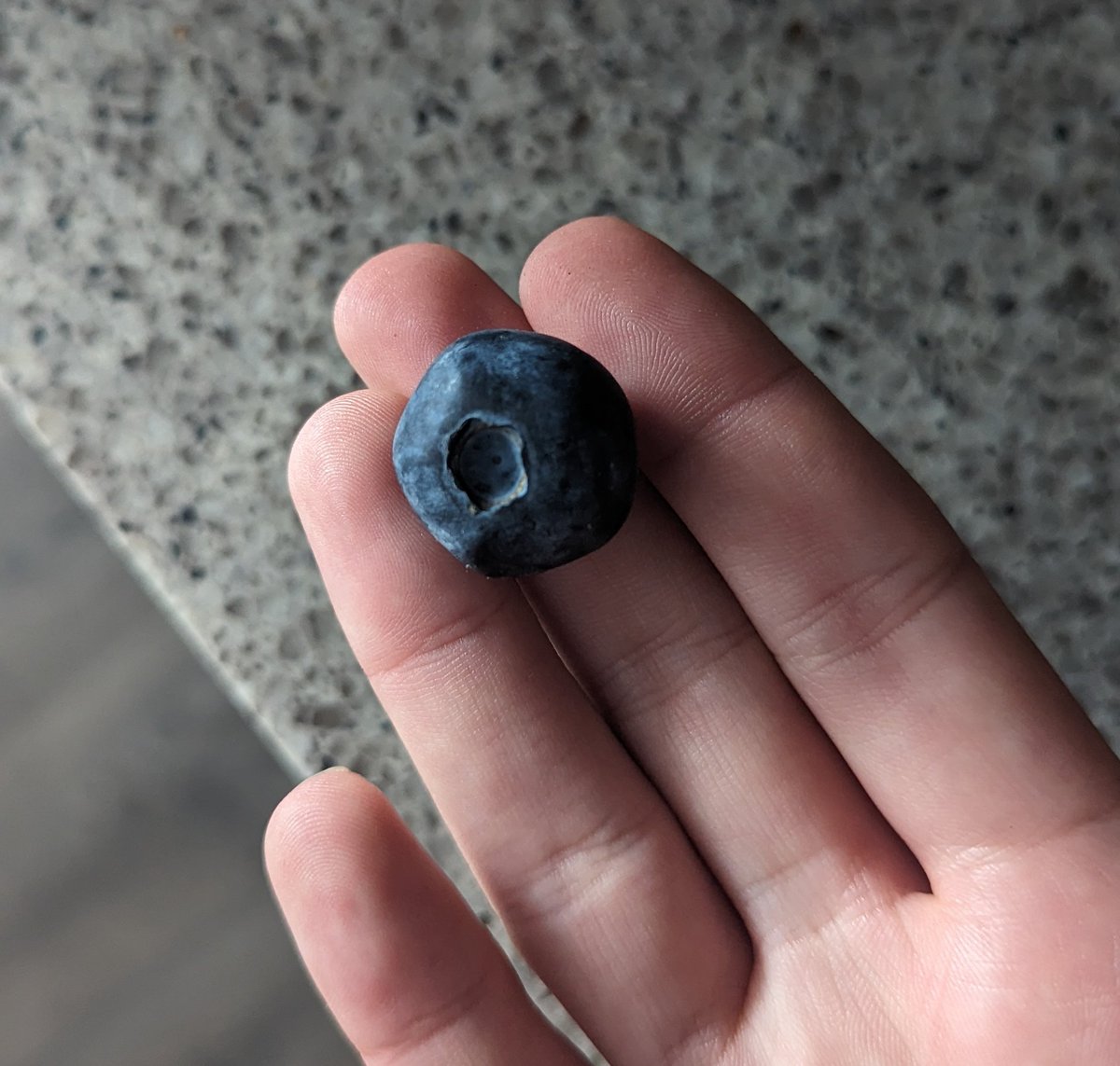 copia's mic stand🧃 | ghost on 8/8 on Twitter: "holy fuck the size of ...