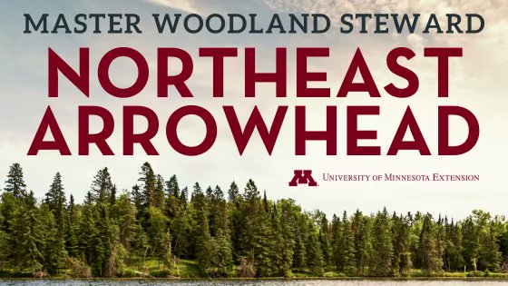 MyMinnesotaWoods tweet media