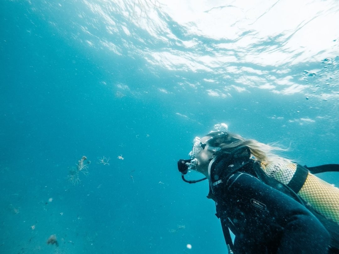 faisl45843119's tweet photo. Exploring the ocean, it makes our eyes light up in a way that is impossible to see on land and I love that feeling, it's a great experience! https://t.co/ccLpoYzqG1