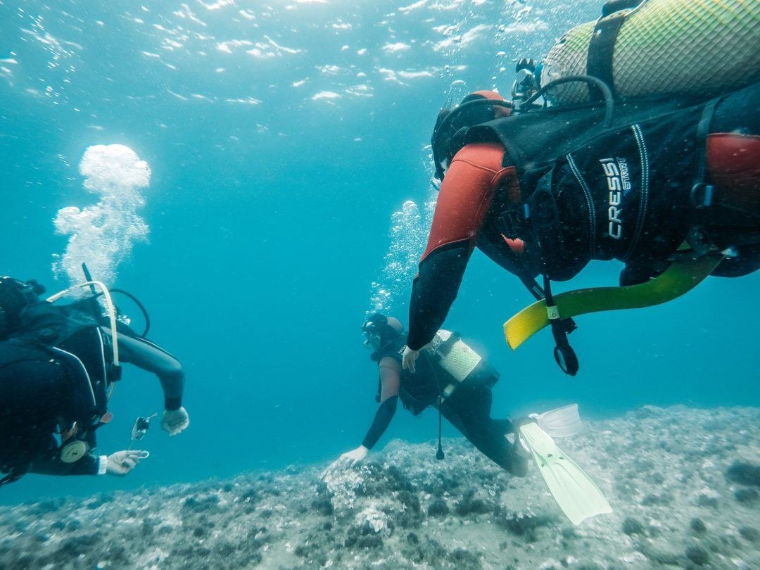 faisl45843119's tweet photo. Exploring the ocean, it makes our eyes light up in a way that is impossible to see on land and I love that feeling, it's a great experience! https://t.co/ccLpoYzqG1