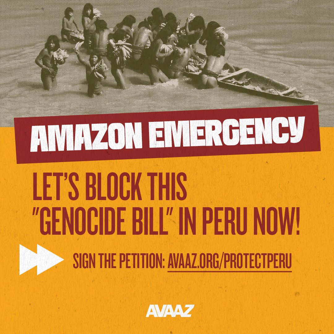 Los pueblos Indígenas que custodian la Amazonía, el corazón de nuestro planeta, son nuestros verdaderos superhéroes en la vida real. Nuestros #AmazonAvengers. Pero mañana, la Comisión de @cdescentraliza en Perú podría aprobar esta nueva ola de invasiones. Al menos que vean que