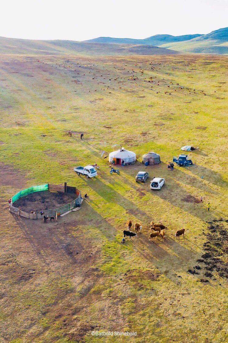 “Ижийтэй минь 
Араг түшилцэж,
Эцэгтэй минь 
Алга дэлгэлцэж,

Ирж явна гэж 
Тэнгэр мөрлөсөн.
Энд унаг гэж 
Газар зөөллөсөн.

Энэ хөх салхи 
Талын хөх салхи …”
📖

ӨГЛӨӨНИЙ МЭНД …