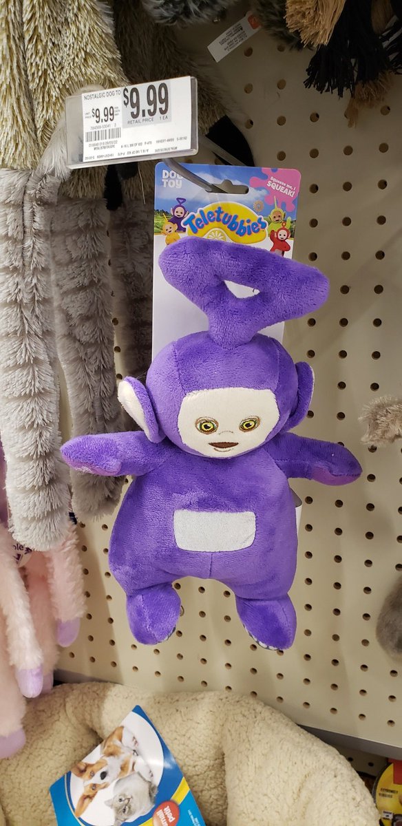 this dog toy is cursed! #Cursed #dogtoy