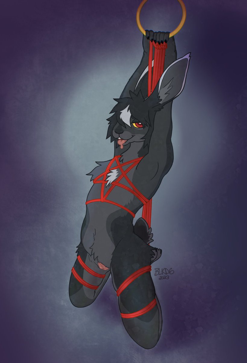 blackdogteeth's tweet photo. 🥵🔥 NSFW SHIBARI COMMISSIONS OPEN 🔥🥵 

I do these on VERY rare occasions! Only ~2️⃣~ slots at this time! Please submit your application and I will get a quote to you asap! 

Starting at 💲3️⃣5️⃣0️⃣ and go up based on tie and character complexity

https://t.co/WrRFtgCZVW https://t.co/uutfruqIwI