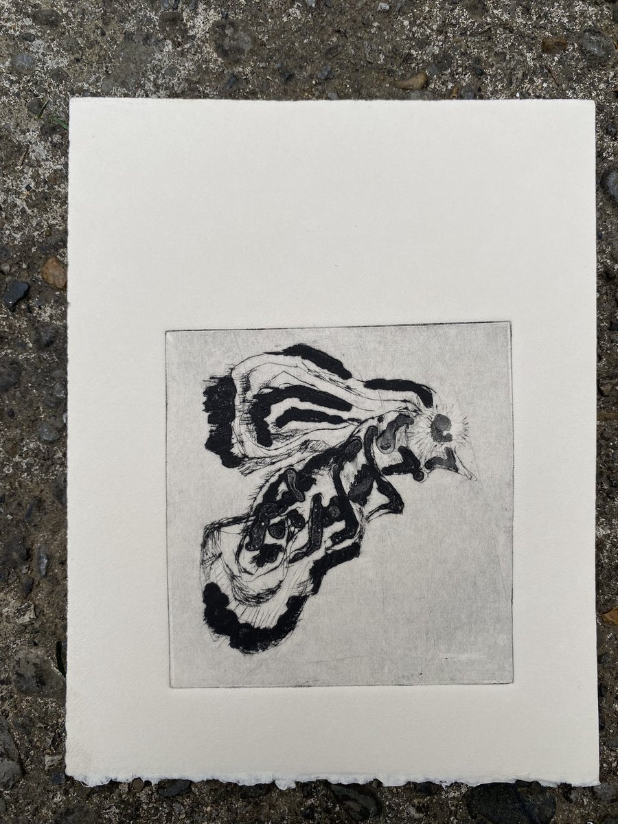 Lucina Russell tweet media