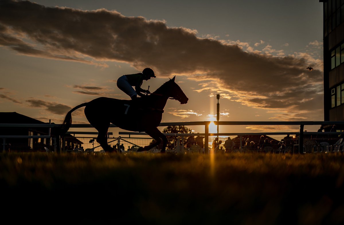 Evening racing at @BrightonRace 

#dcoolimages #horse #horses #attheraces #brighton #brightonraces #horseracing #horseracingphotography #sport #sportphotography #nikon #iamnikon