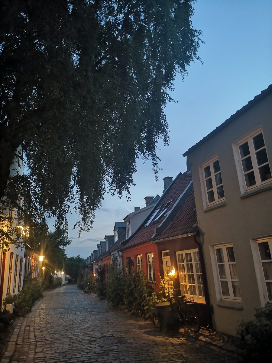Aarhus almost midnight sun - exited for tomorrow and presenting my poster <a href="/icep2023/">ICEP2023</a>  on the implications of #habits for spillovers in the #environmental Domain 🤗