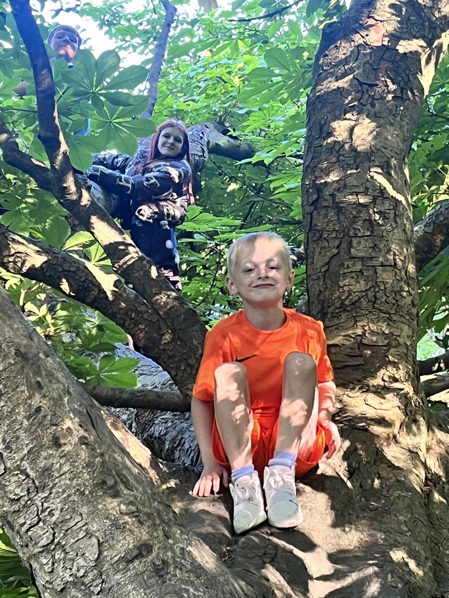 ⁦@MayfieldOldham⁩ we went to Heaton park last week after school. Charlie-jack and finley enjoyed climbing trees with their big sister! Can you see charlie-jack peeping? 🥰💗💙💙