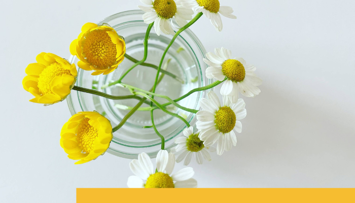 Don't let your #IdealClientProfile confine your business aspirations in #CustomerSuccess.   

Let the experts at <a href="/TSLCustomers/">The Success League</a> help with #segmentation #consulting and turn your #LegacyClients into powerful growth catalysts! 🚀📷 

Find out more here: tinyurl.com/bd4xf2sx