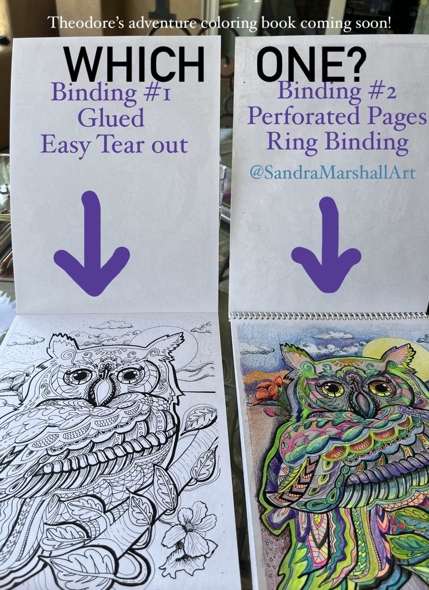 FunkyFoodArt's tweet photo. I am making an extreme adult coloring book. Each page could take hours to color and well melt to your stress away because it’s so extreme😂 An adorable pitbull showed up on our doorstep last year. I draw his adventures everyday. Which kind of binding do you prefer? #adopt https://t.co/9NkO2x0Yyv