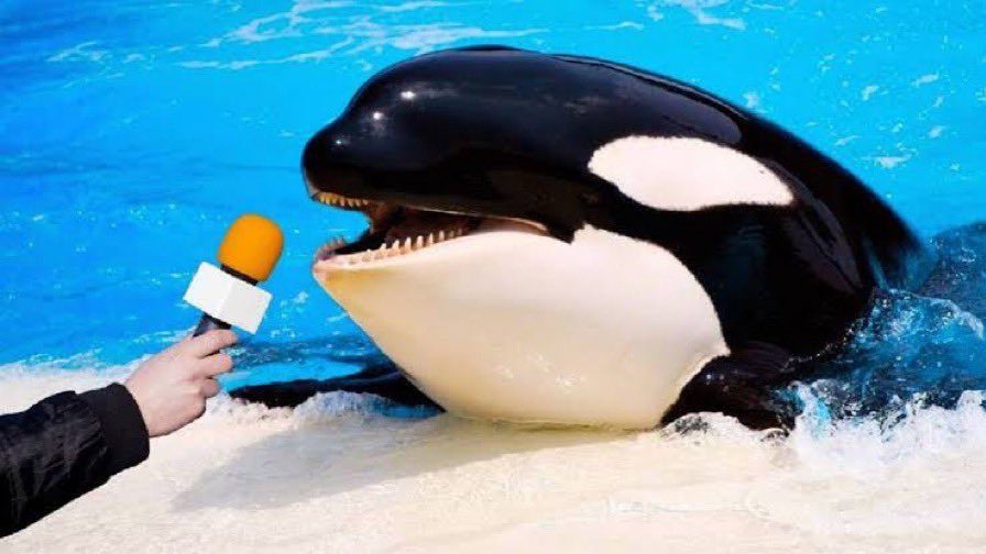 If you want the submarine back I need 5,000 Salmon and free me cousin from SeaWorld bitch ass niggas.