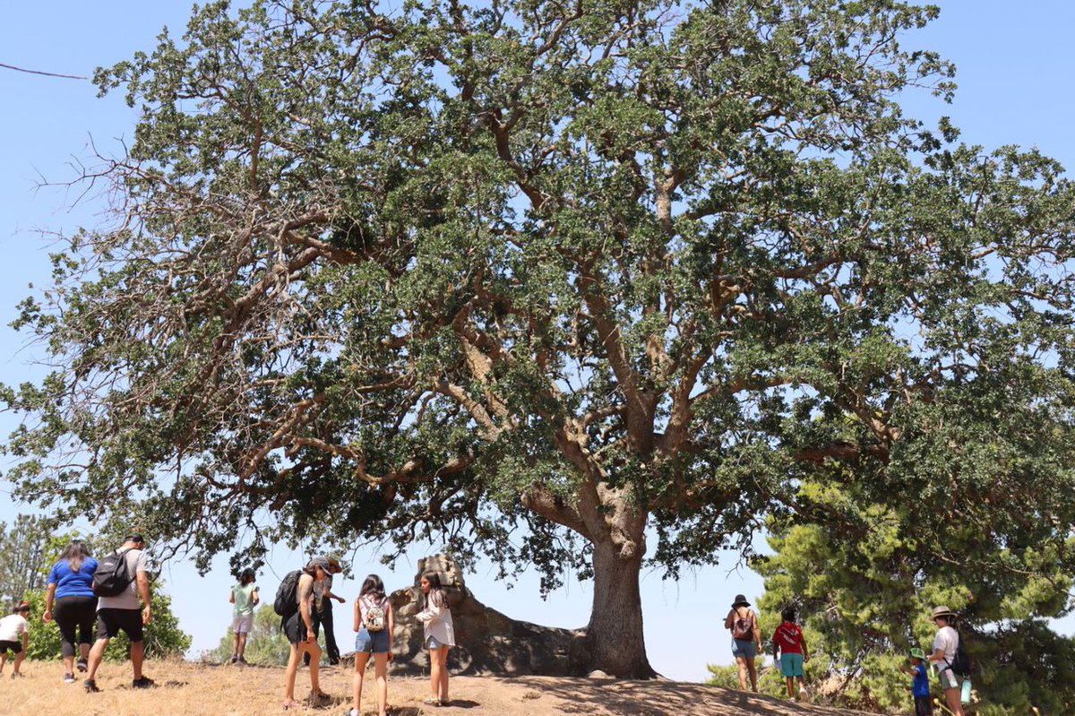 The 2nd #CAStateParksWeek was an absolute success here in the Central Valley District!

We enjoyed celebrating our diverse park system and look forward to next year! Thank you to all who celebrated with us! 😀

#CentralCAStateParks #CAStateParks