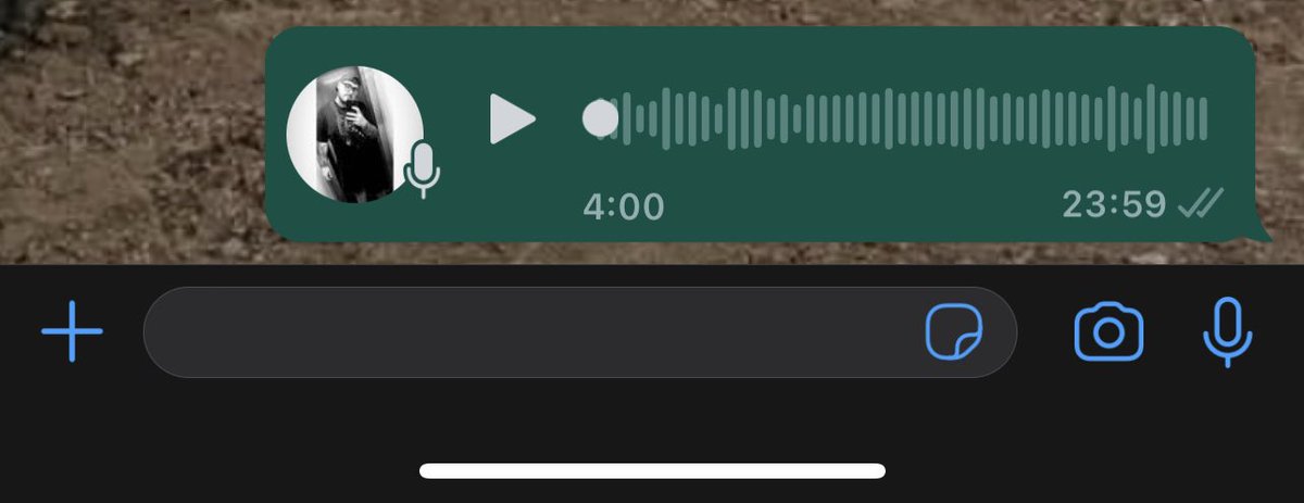 IKSA🌴 tweet media