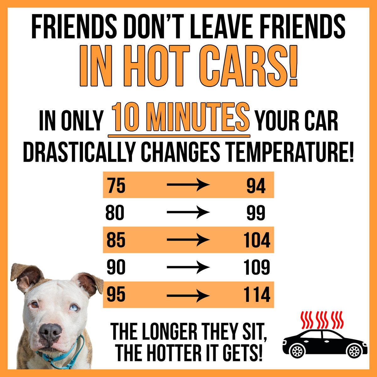 The hot weather is HERE! Please remember to NOT leave your animals in the hot car, even for 'just a minute.'

#AndersonCountyPAWS #hotweather #safety #animalshelter #animalsafety