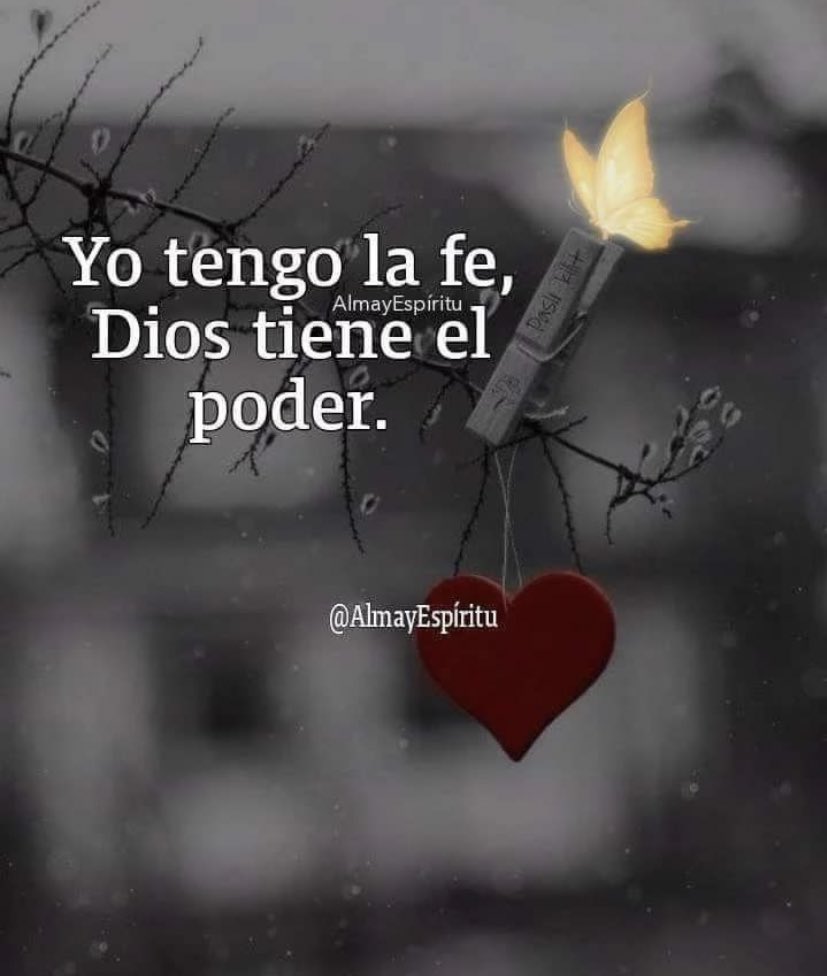 YaurimirR's tweet photo. 🙏🏻 https://t.co/Xv85ncZWyc