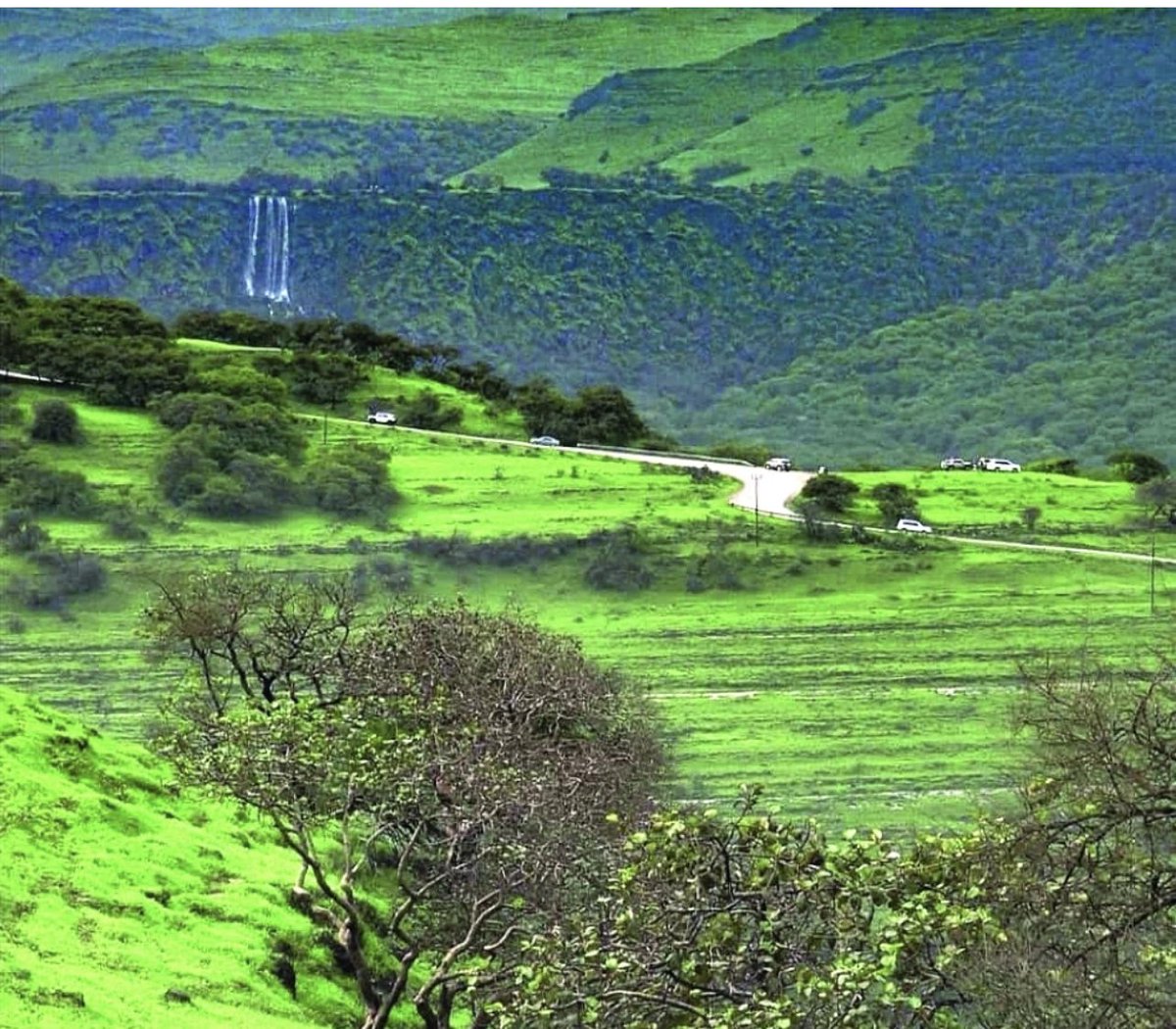 فلكياً اليوم دخول موسم #خريف_ظفار_2023  اللهم أسقنا الغيث ولا تجعلنا من القانطين اللهم اسقنا غيثاً مغيثاً مريئاً مريعاً طبقاً غدقاً نافعاً غير ضار تُدِر به الضرع وتنبت به الزرع وتحيي به الأرض بعد موتها
اللهم إنا نستغفرك استغفاراً فأرسل السماء علينا مدراراً ￼اللهم آمــين #صلاله