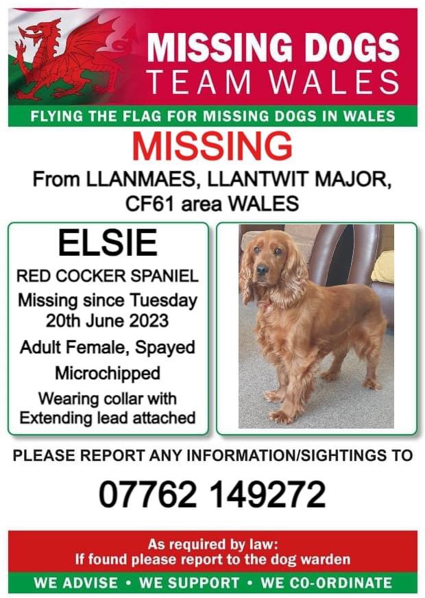 rosieDoc2's tweet photo. ❌URGENT, EXTENDING LEAD STILL ATTACHED❌
ELSIE MISSING #LLANMAES, #LLANTWITMAJOR #CF61 WALES
TUES 20/6/23
PLS CALL NUMBER WITH ANY INFO/SIGHTINGS TY
https://t.co/2WWPdmuTFH
@juliagarland73 @JacquiSaid @majorblacksmith @AmmoKnightsRFC @BitofDecorum @ruthwill64 @thedogfinder https://t.co/rYO3teuJyU