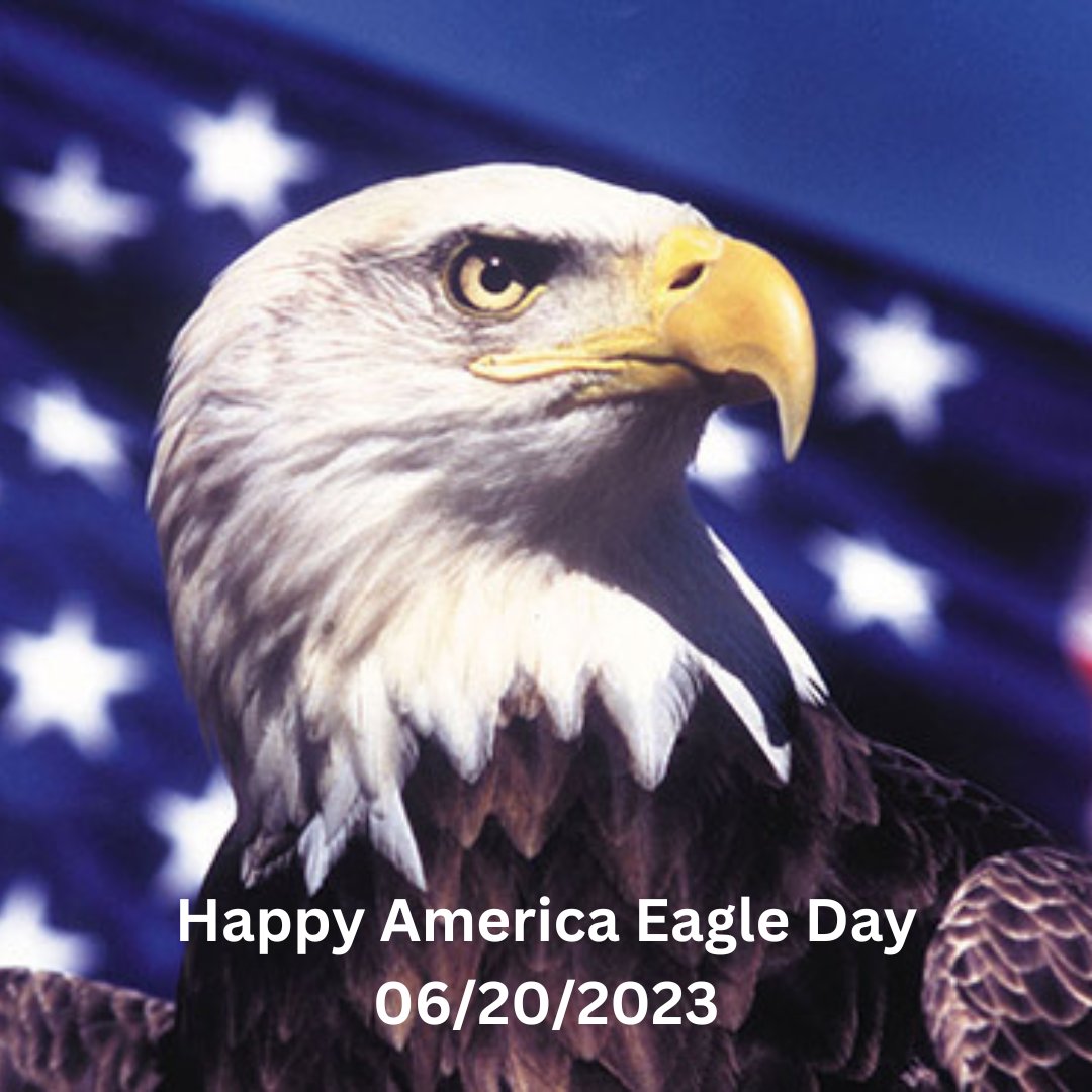 Happy American Eagle Day! 06/20/2023.
#operationgoldenhawk #veteranstanddown #standdown #NISMVSD #veterans #veteranshelpingveterans #military #usa #marines #army #navy #airforce #usmc #coastguard #freedom #armedforces #poweringbeyond #servicedog #veteranowned #usaf #soldier