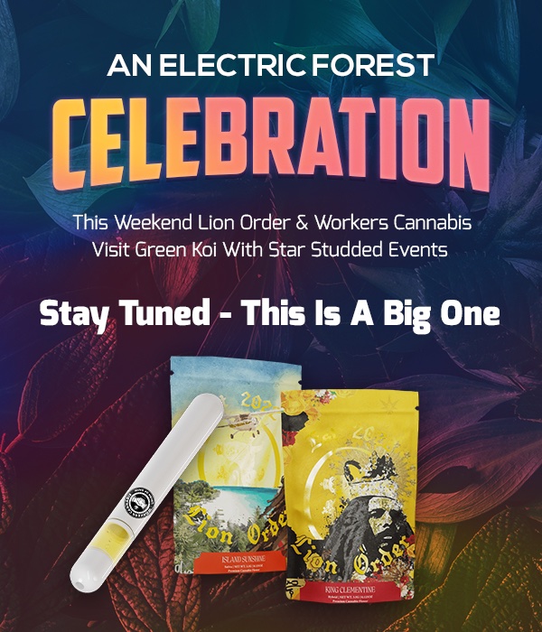 Who is going to Electric Forest?