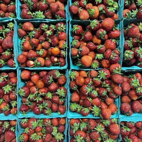 Strawberries are in at Sprout MN in #LittleFalls! 🍓 They'll be in this week's CSA shares and available for sale on Sprout's online store: app.barn2door.com/QMdk6/all/R8bev

#SproutMN #LittleFallsMN #MorrisonCounty