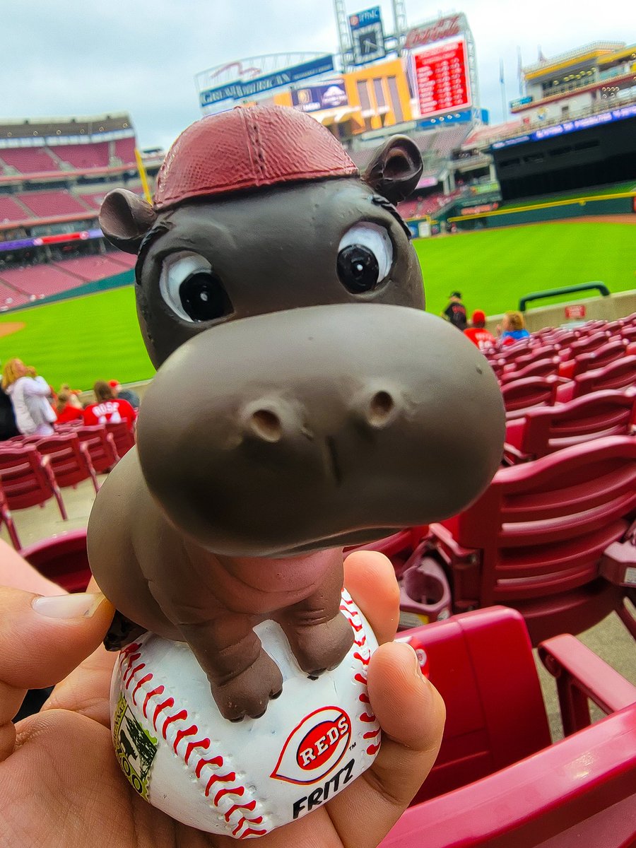 The Fritz bobblehead might be my new favorite acquisition. That is one hip hippo. #Reds