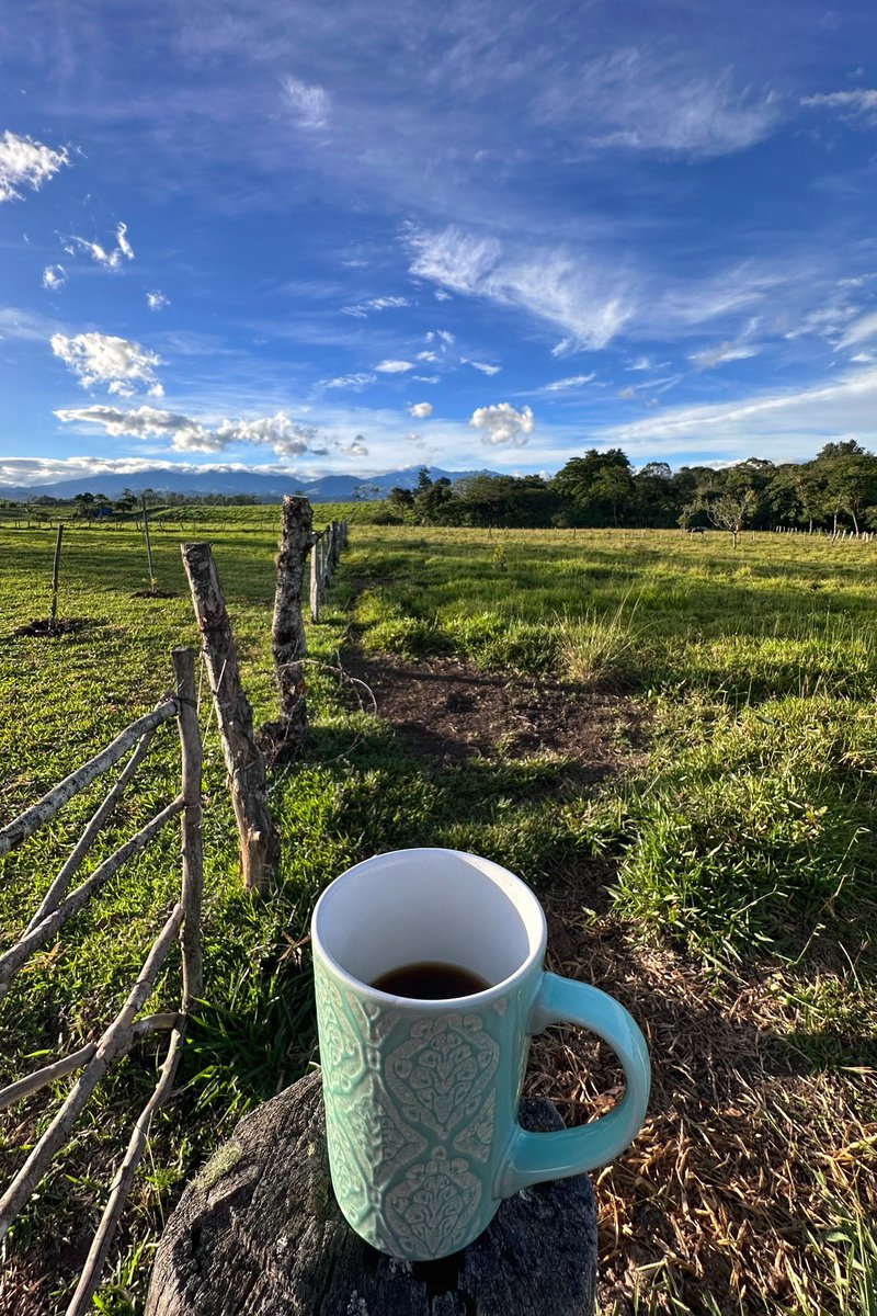 —Y el café, ¿cómo le gusta?
—Negro y en la finca.

☕️ #Cauca 🇨🇴