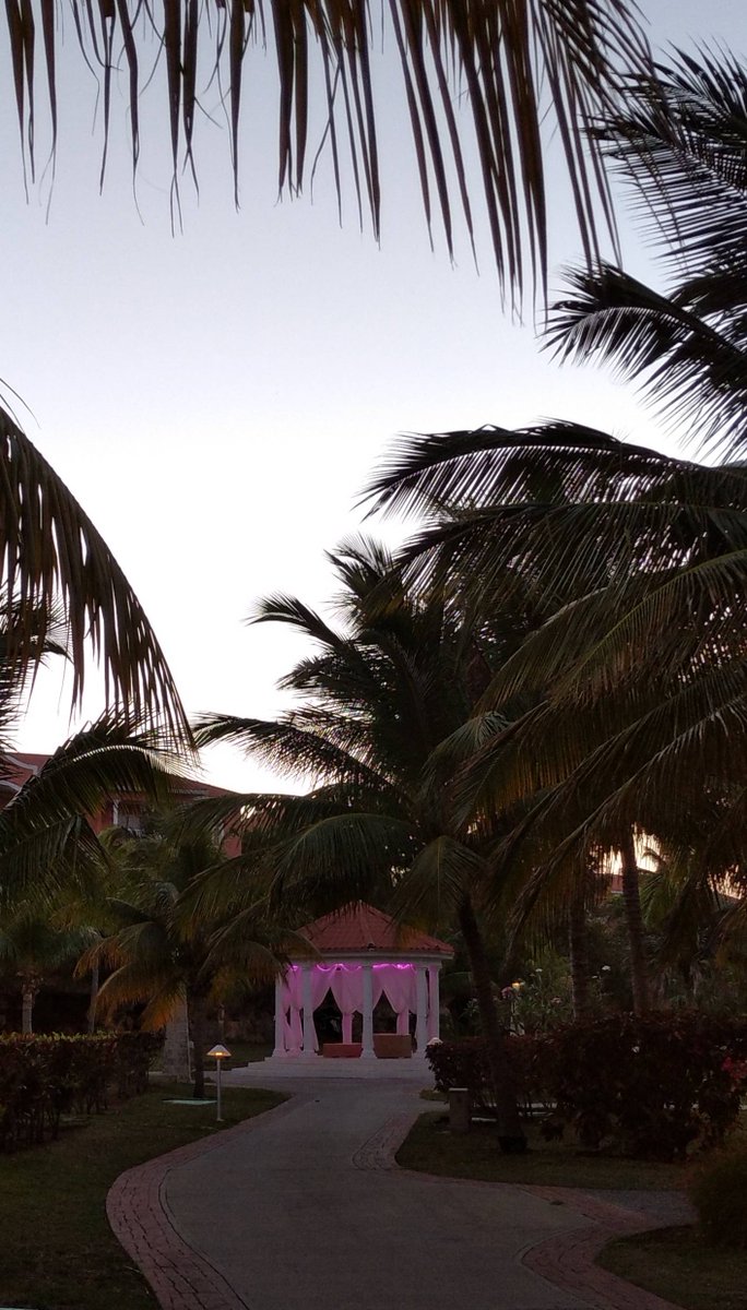 When the afternoon is starting to shade it's colors in pinkish tones and you find a spot to enjoy 🌴🌺
#ParadisusPrincesadelMar #MeliaCuba #CubaUnica #CubaTravel #VaraderoTravel #meliahotels