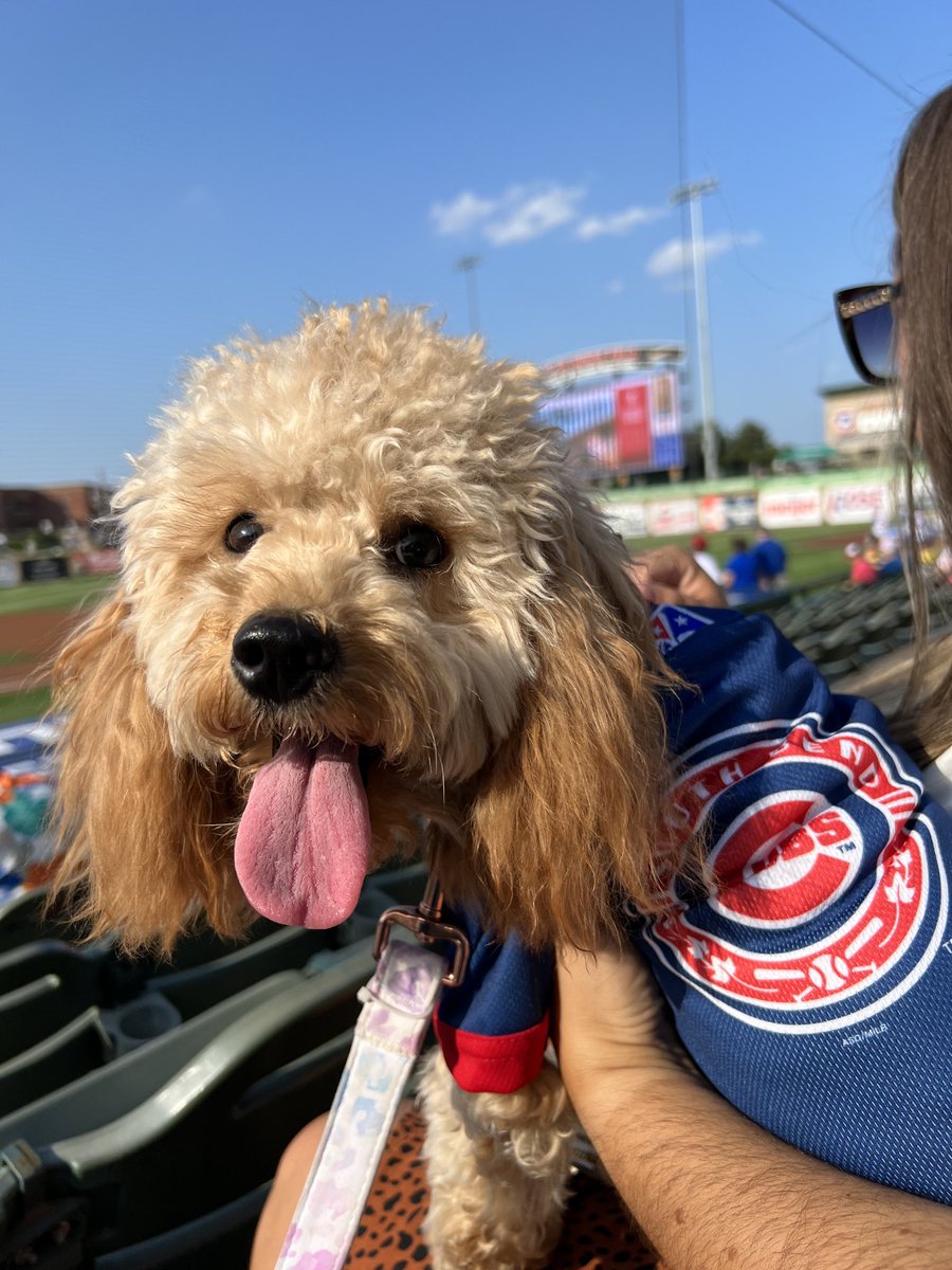 helms_brandee's tweet photo. Ellie’s first #SBCubs game! ♥️🤍💙 https://t.co/GsLjGBDkON