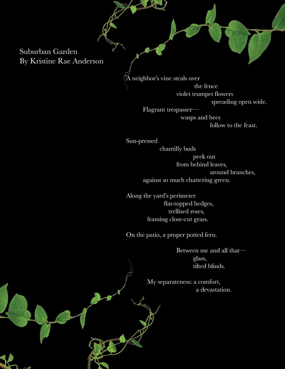 'My separateness; a comfort, a devastation' Kristine Rae Anderson for our first digital #Zine ♥️🍃 #poetry #WritingCommunity