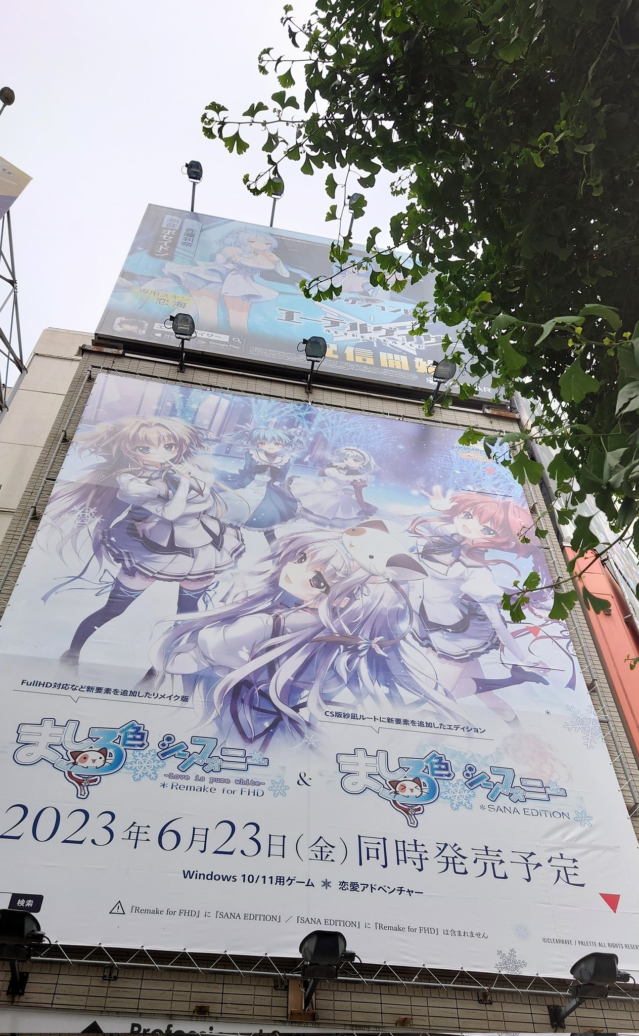 ましろ色シンフォニー　コラボ　カフェ　缶バッジ ましろ色シンフォニー コラボ カフェ 缶バッジ 初音ミク