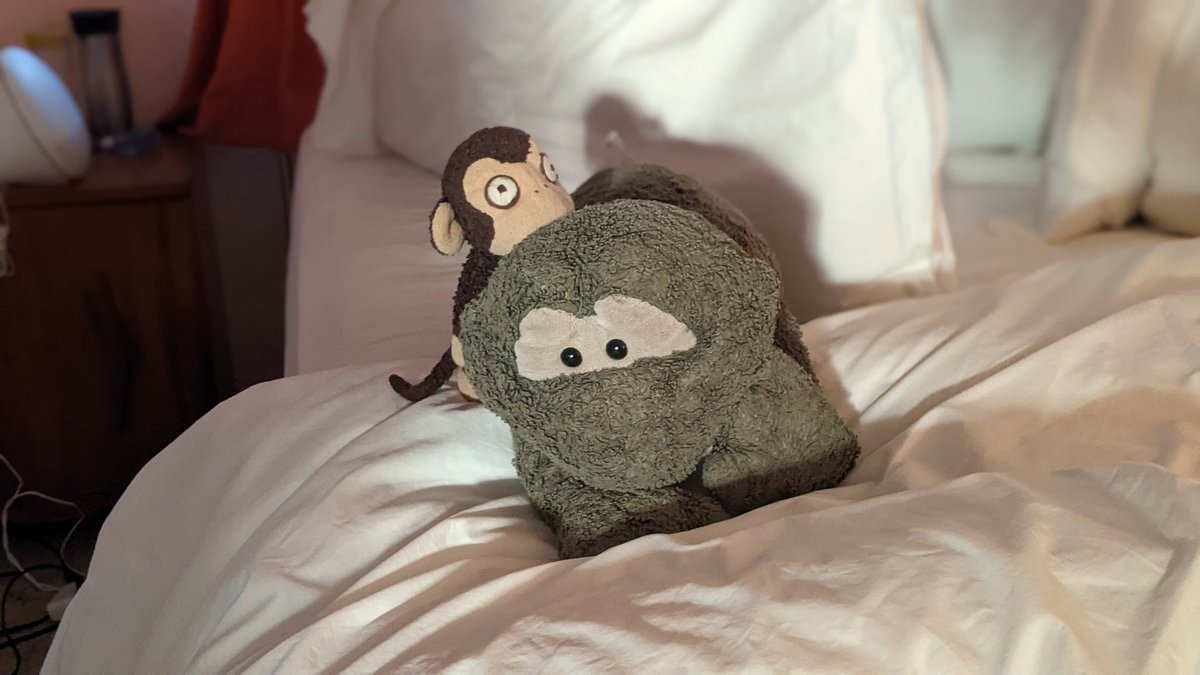 TheoMonkey's tweet photo. Me and Nelson playing in the setting sun https://t.co/3tYLzKYlUK
