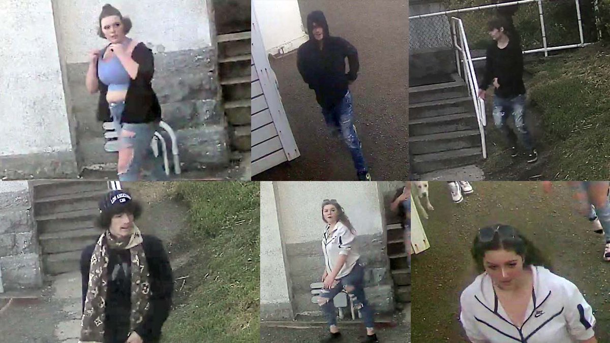 KATUNews's tweet photo. An iconic Oregon lighthouse property was vandalized last Wednesday, and Oregon State Police are looking for four persons of interest in the case: https://t.co/7Dg4hkRa7N

A State Parks representative said the damage repairs could cost between $10,000 &amp; $20,000. https://t.co/9uuBCjxu9T